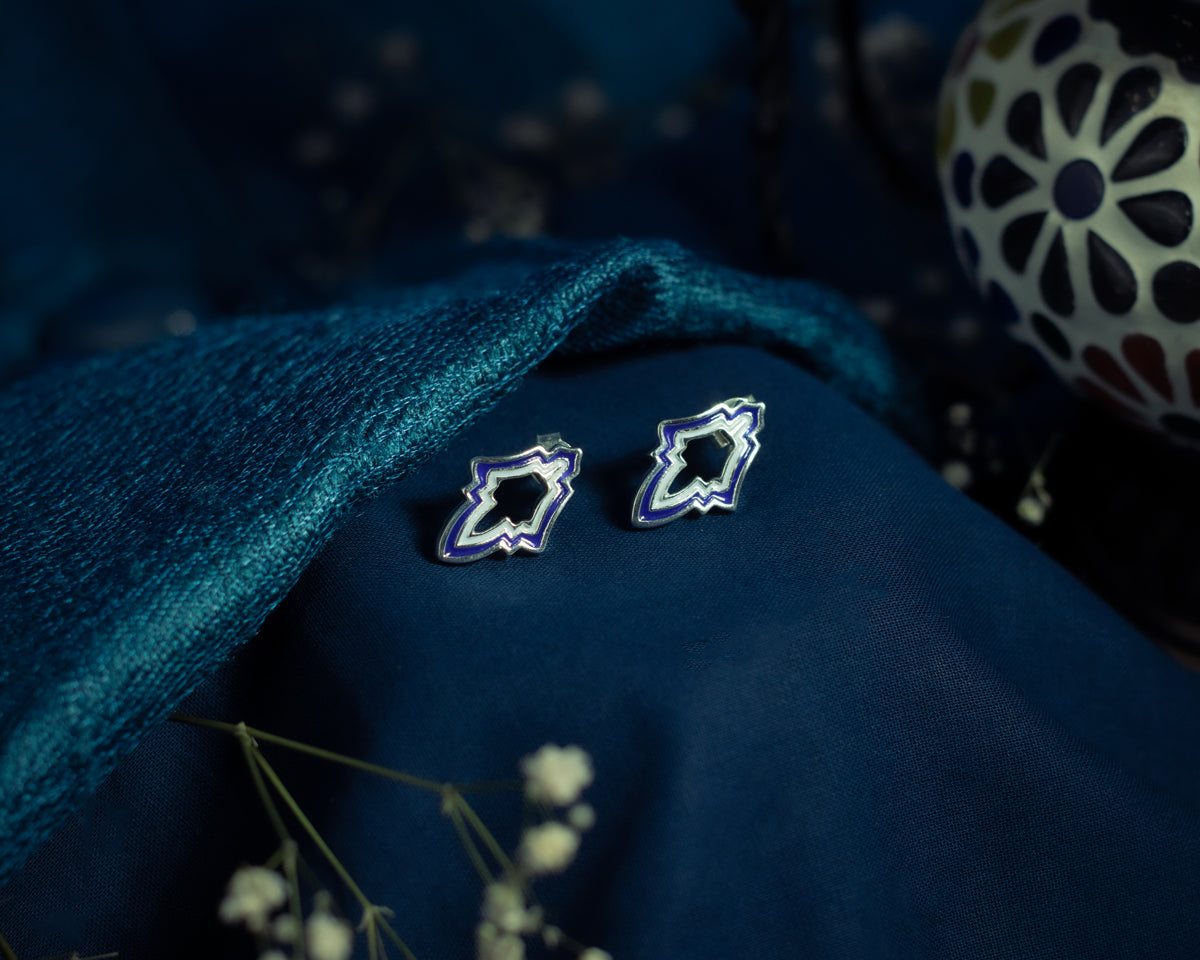 Glamorous Blue Enamel Earrings - EVM_E0009